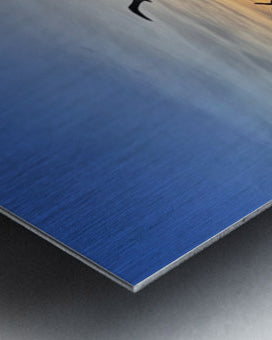 2505539 :: Brushed Metal Print