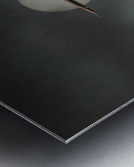 2508362 :: Brushed Metal Print