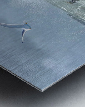 2516246 :: Brushed Metal Print