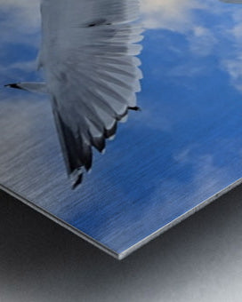 2521715 :: Brushed Metal Print