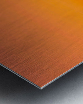 2530651 :: Brushed Metal Print