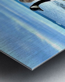 2530909 :: Brushed Metal Print