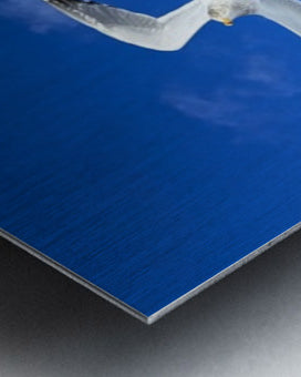 2552328 :: Brushed Metal Print