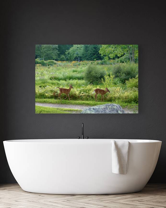 2374222 :: Giclée Stretched Canvas Print