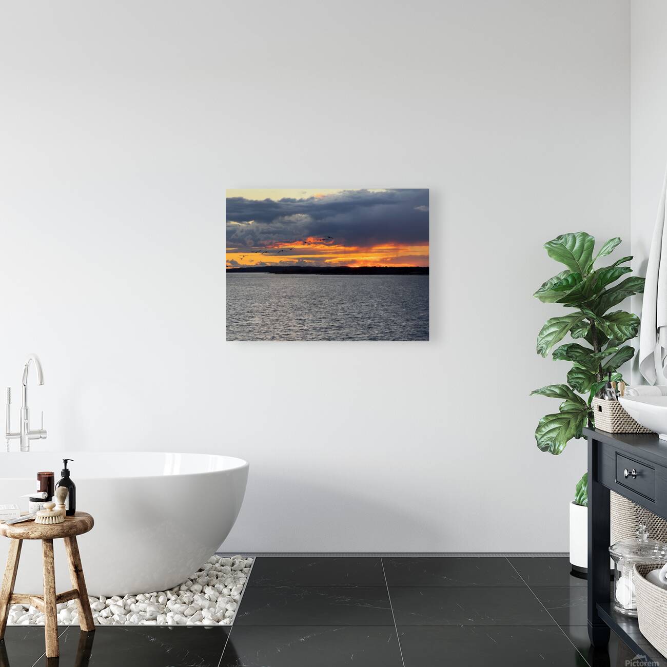 2477186 :: Giclée Stretched Canvas Print