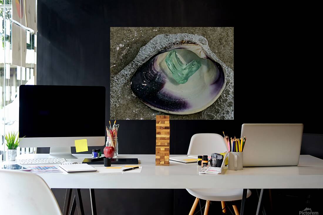 2492666 :: Giclée Stretched Canvas Print