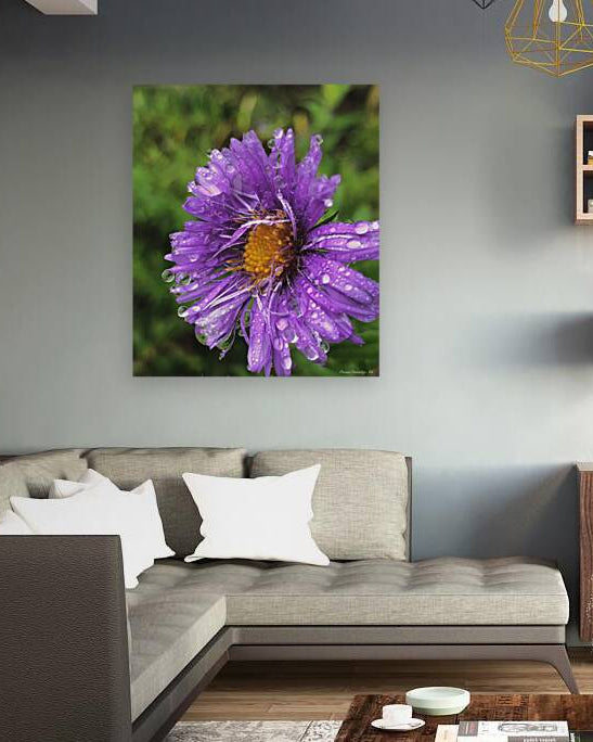 2495638 :: Giclée Stretched Canvas Print
