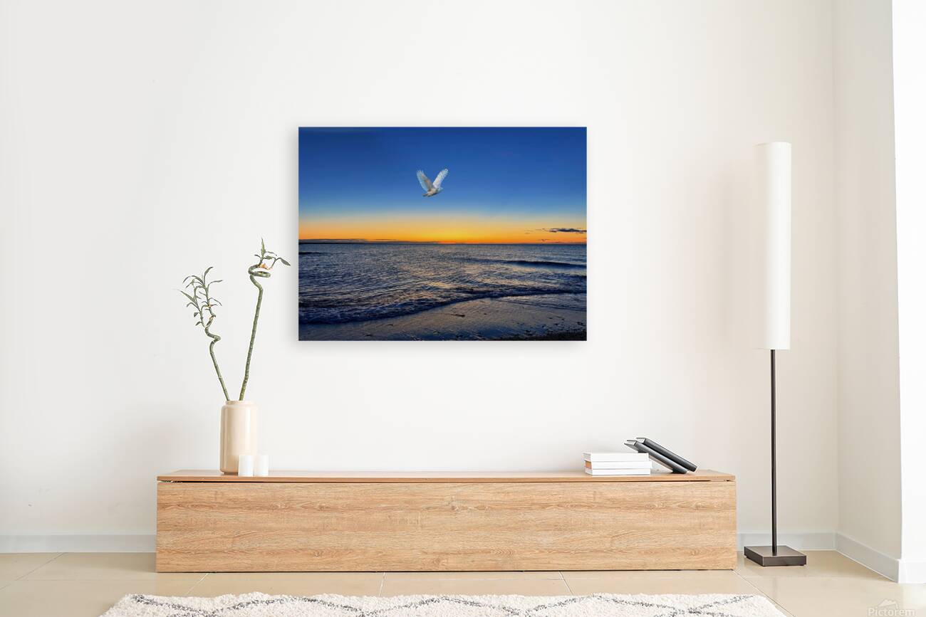 2507586 :: Giclée Stretched Canvas Print