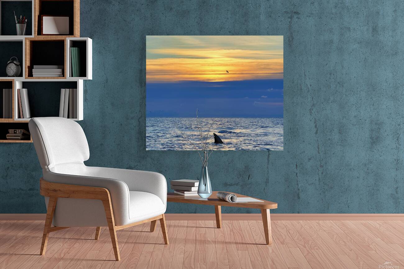 2516210 :: Giclée Stretched Canvas Print