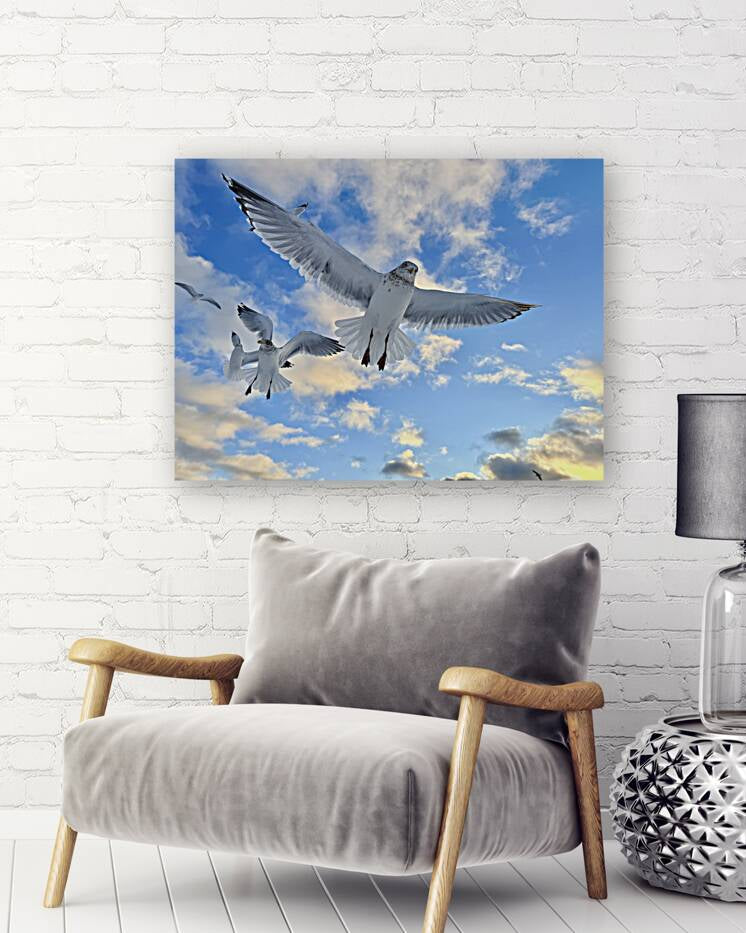 2521715 :: Giclée Stretched Canvas Print