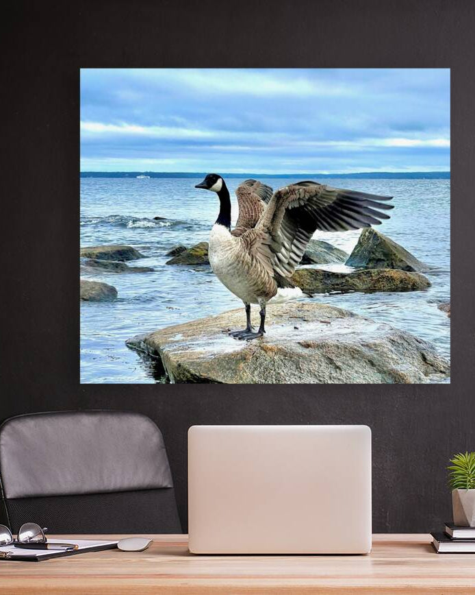 2530909 :: Giclée Stretched Canvas Print