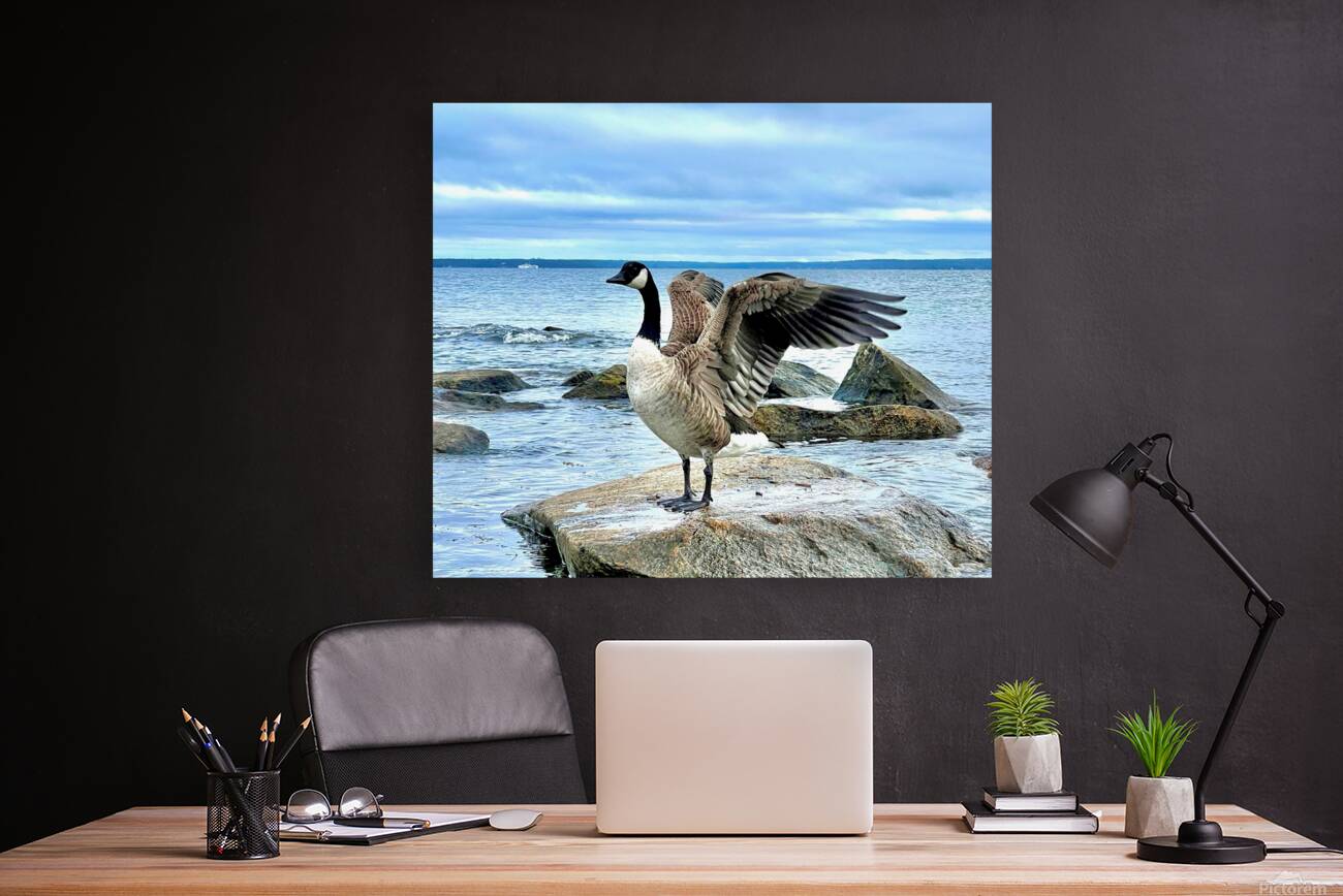 2530909 :: Giclée Stretched Canvas Print