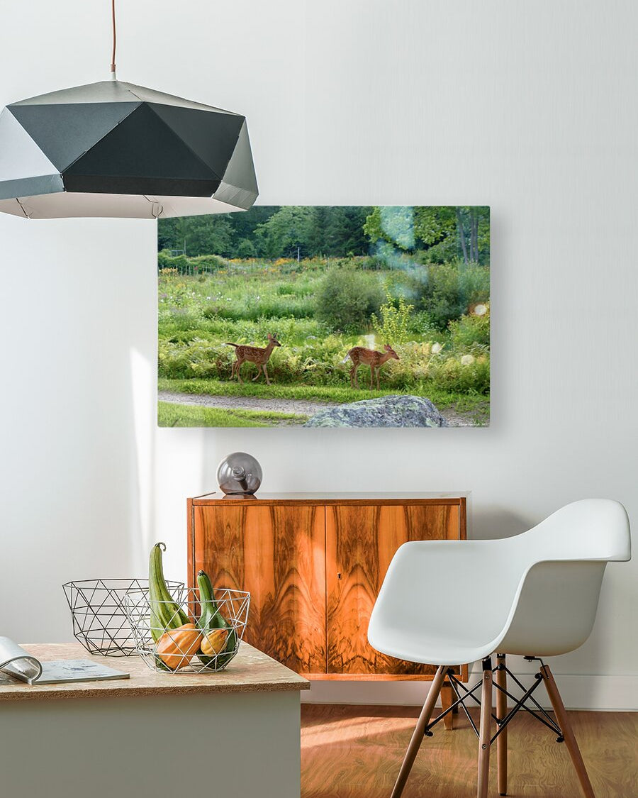 2374222 :: HD Sublimation Metal Print