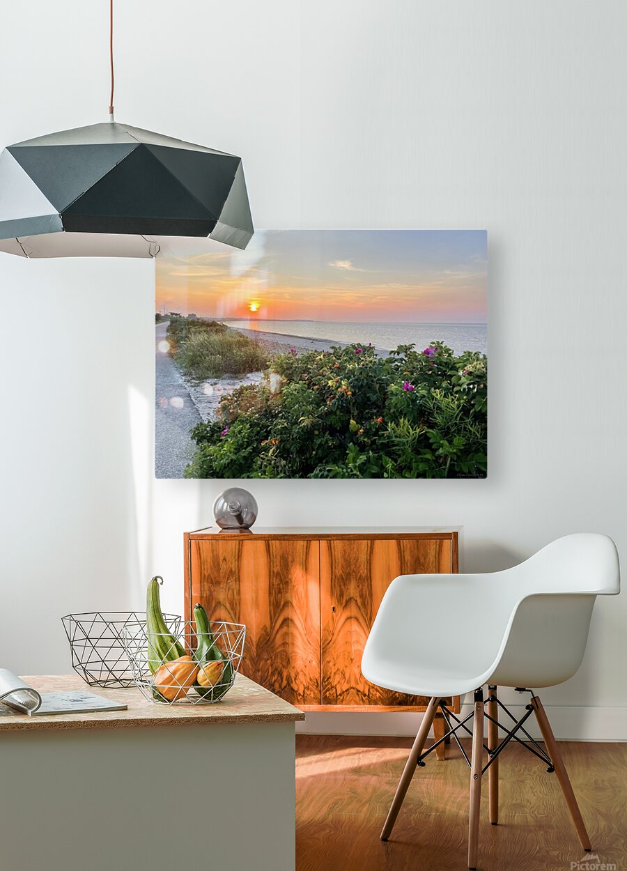 2380424 :: HD Sublimation Metal Print