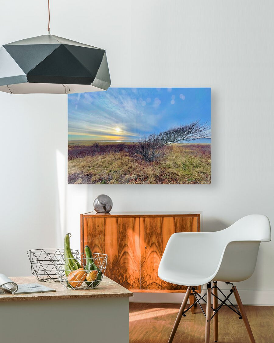 2385246 :: HD Sublimation Metal Print