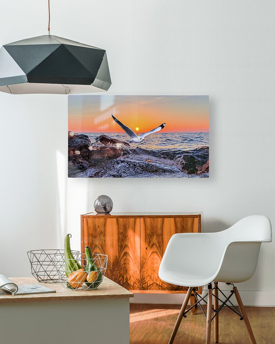 2402360 :: HD Sublimation Metal Print