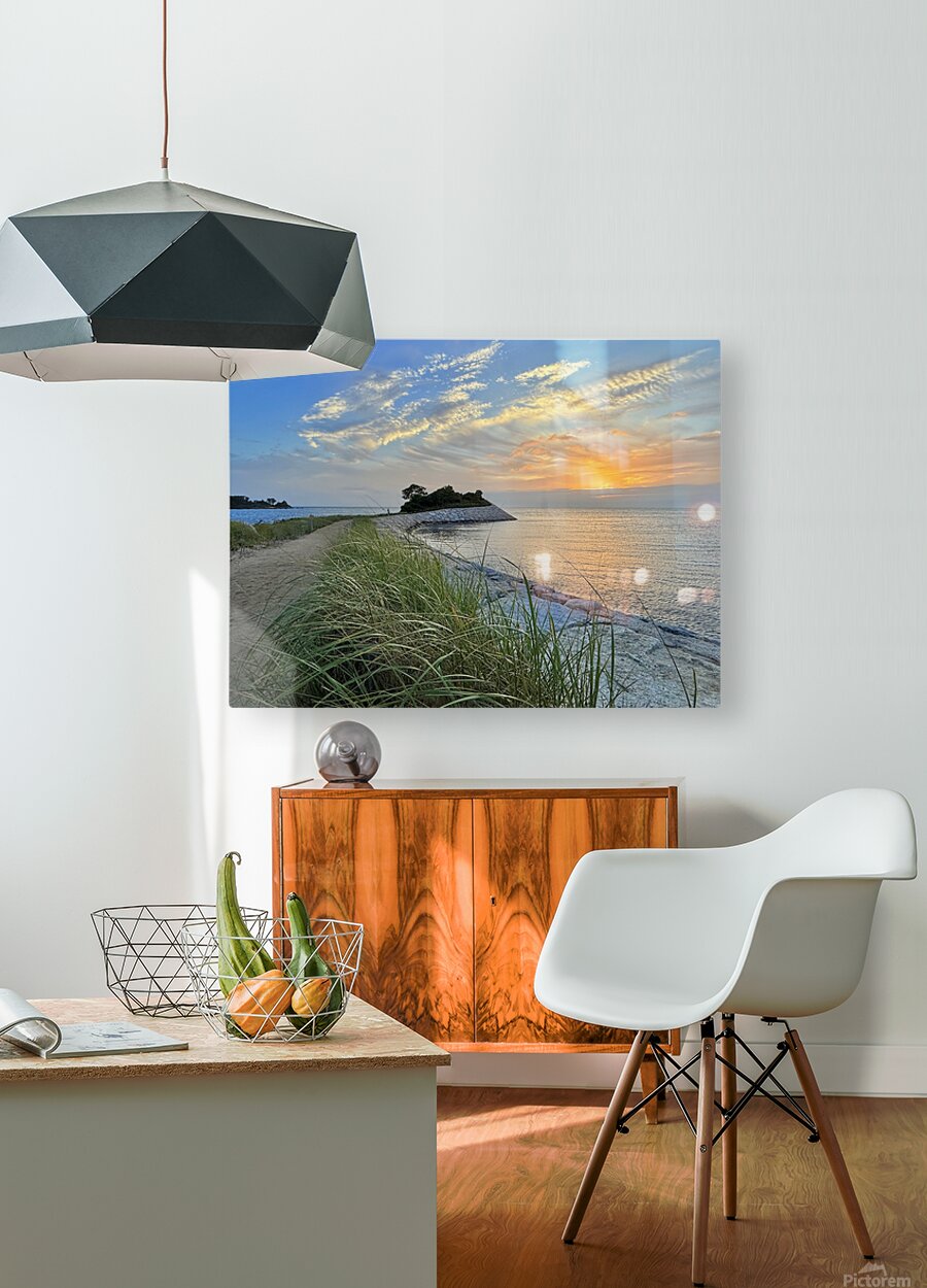 2442746 :: HD Sublimation Metal Print