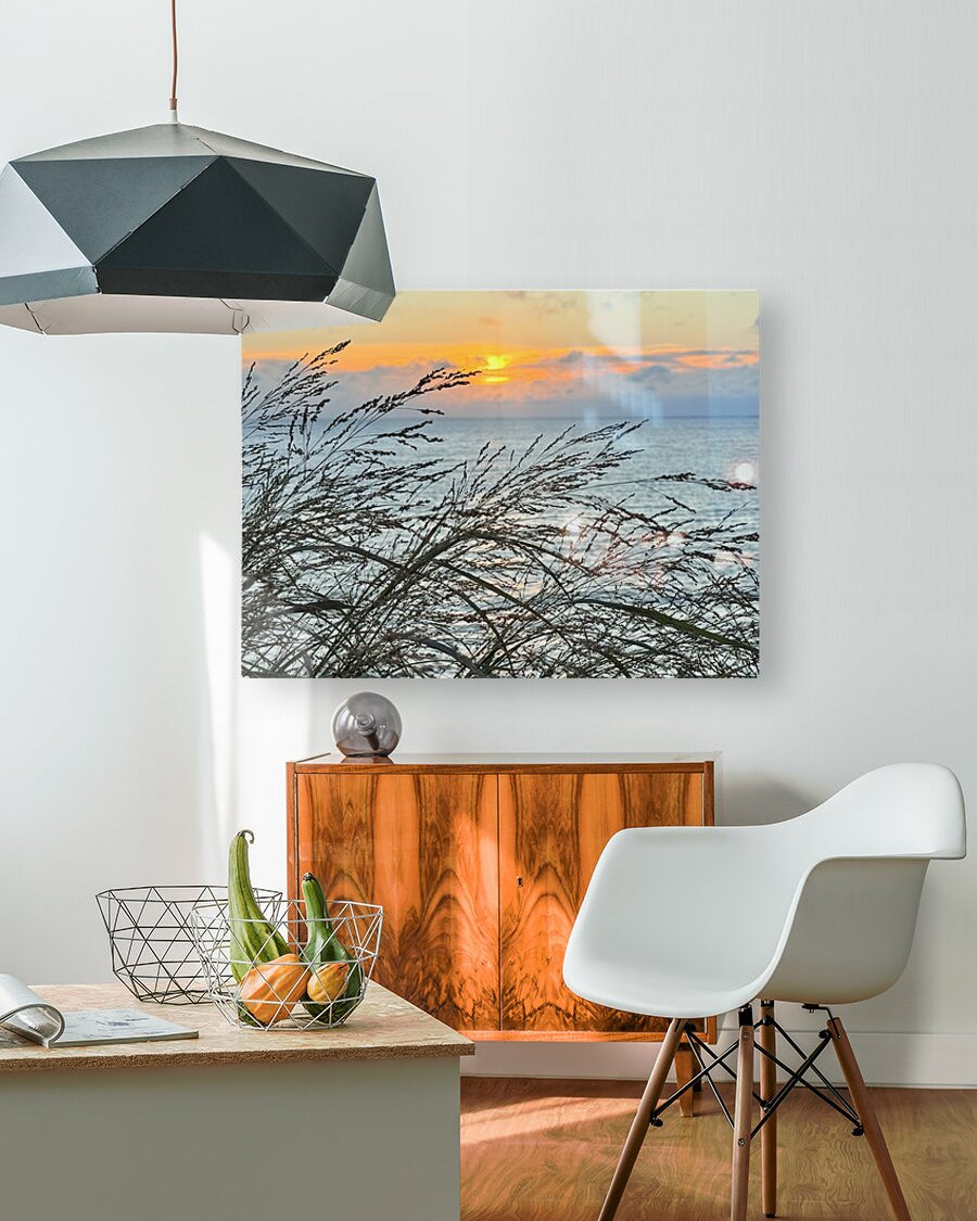 2454512 :: HD Sublimation Metal Print