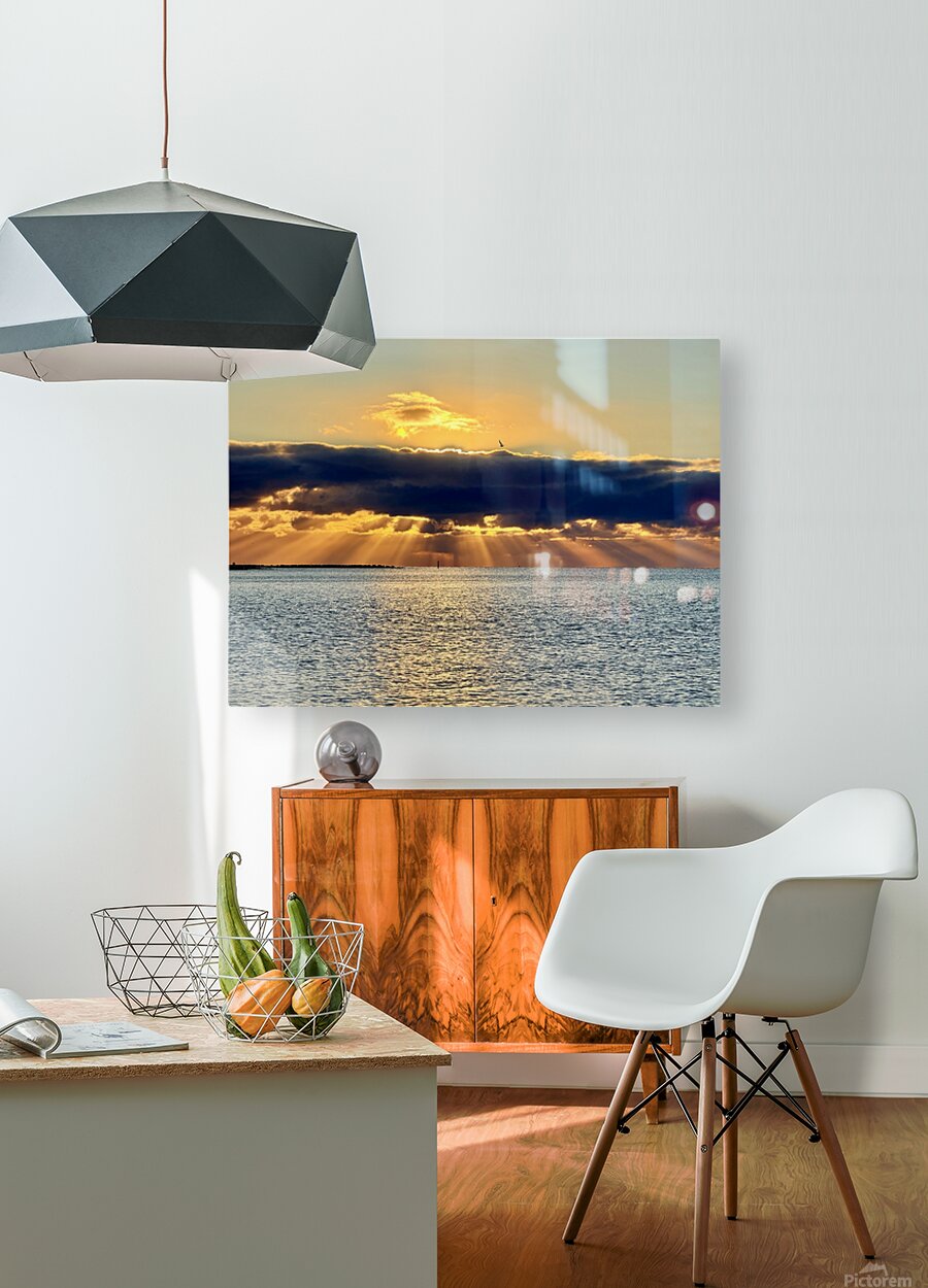 2472539 :: HD Sublimation Metal Print