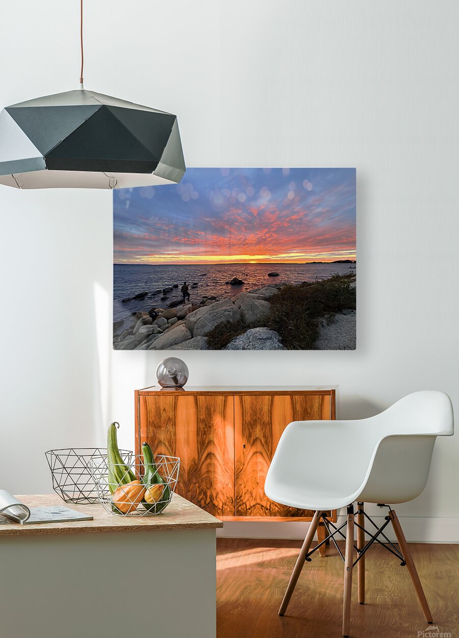 2474003 :: HD Sublimation Metal Print