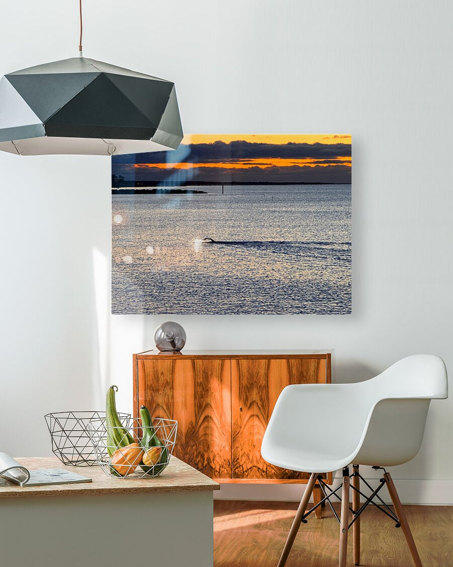 2479257 :: HD Sublimation Metal Print