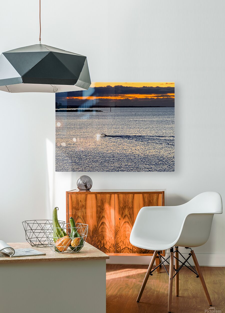 2479257 :: HD Sublimation Metal Print