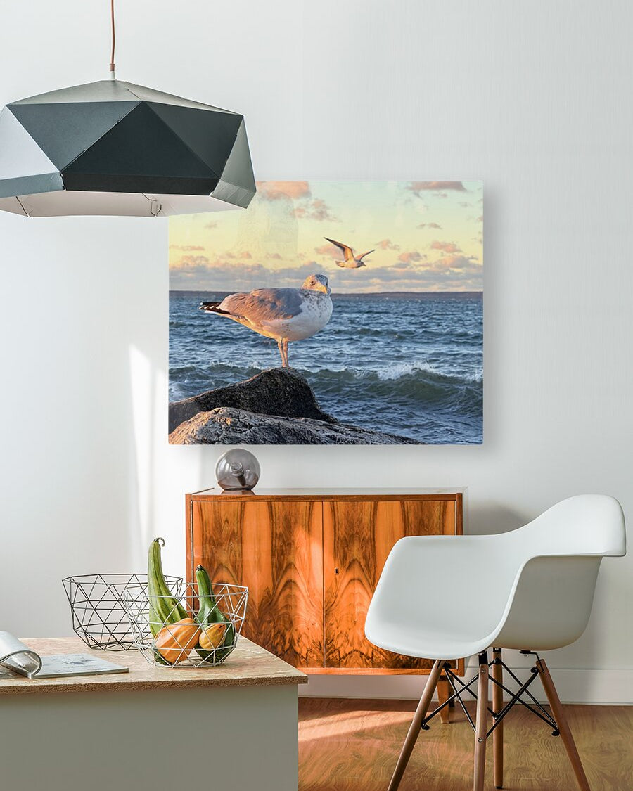 2486004 :: HD Sublimation Metal Print