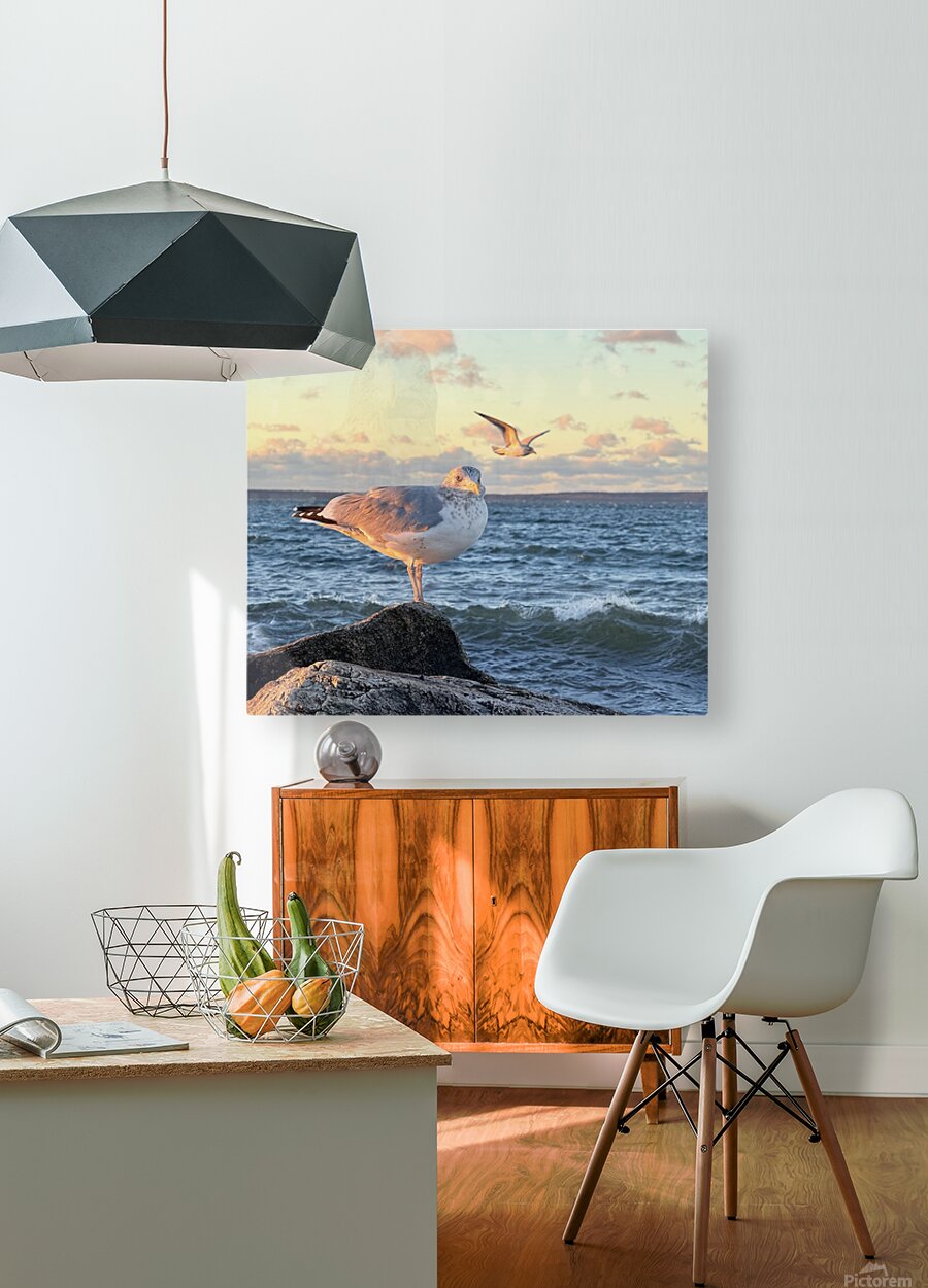 2486004 :: HD Sublimation Metal Print