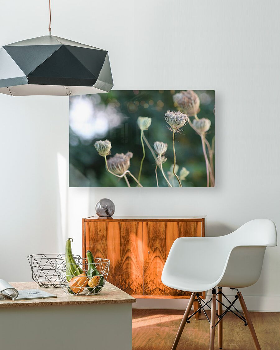 2495654 :: HD Sublimation Metal Print