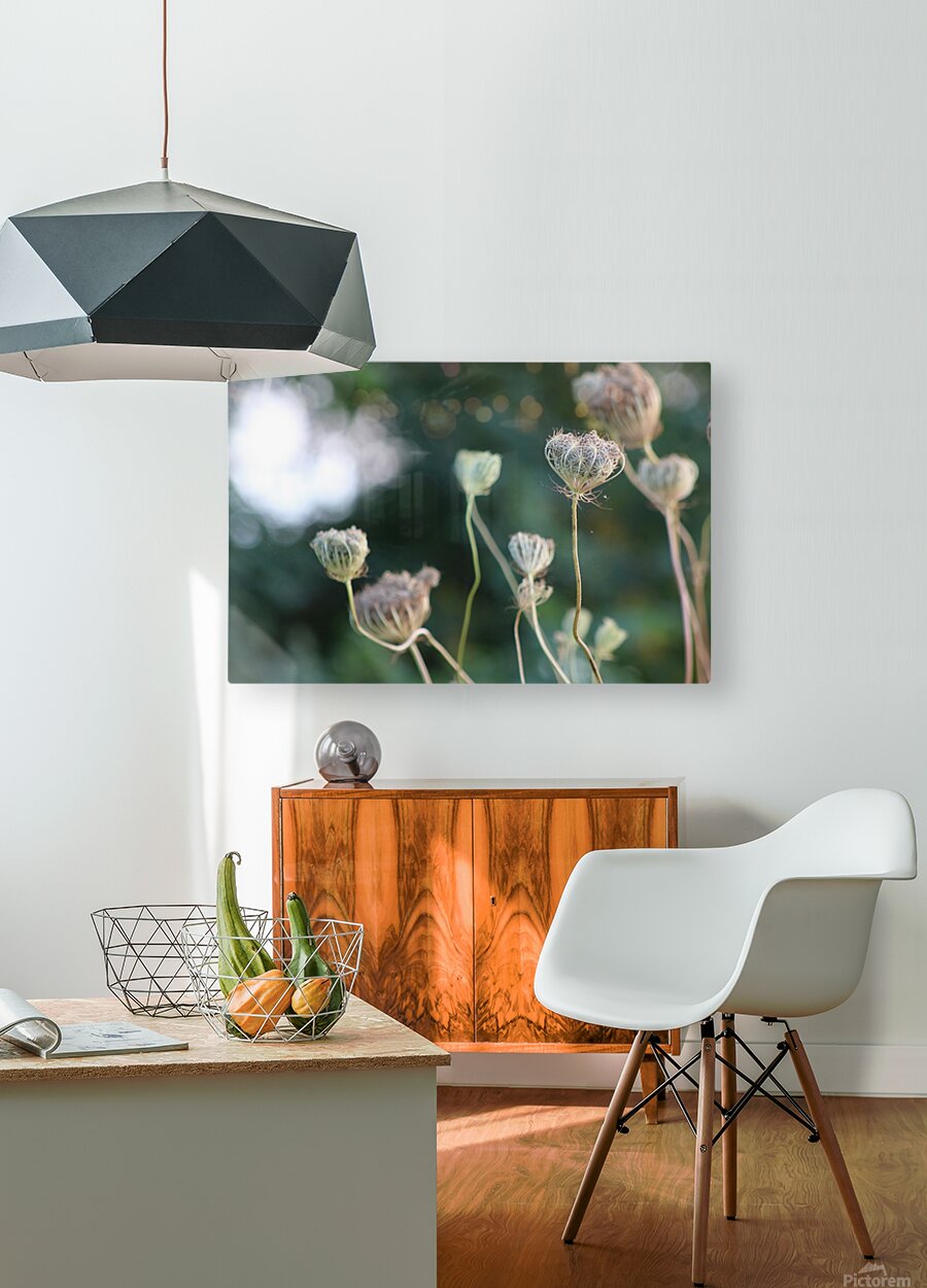 2495654 :: HD Sublimation Metal Print