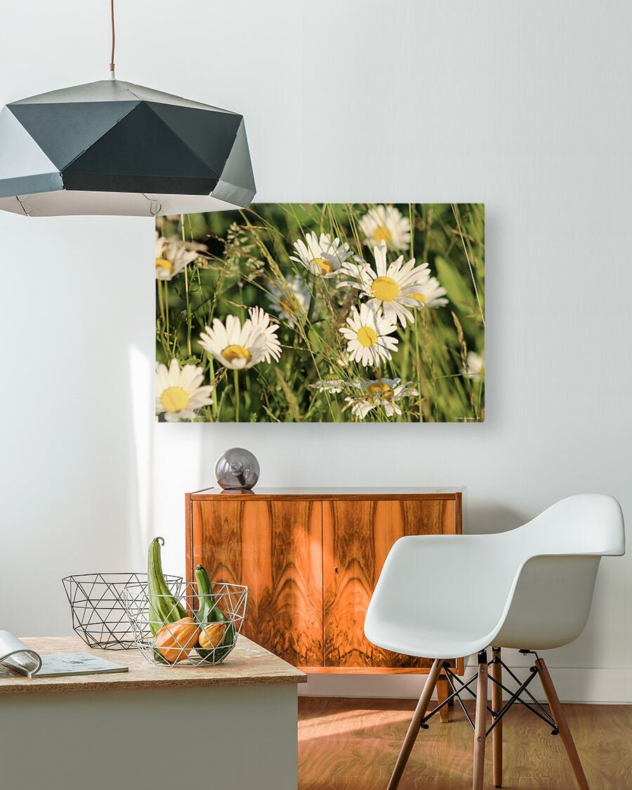 2496521 :: HD Sublimation Metal Print