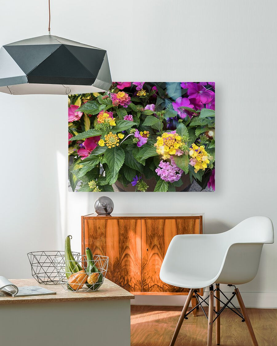 2498027 :: HD Sublimation Metal Print