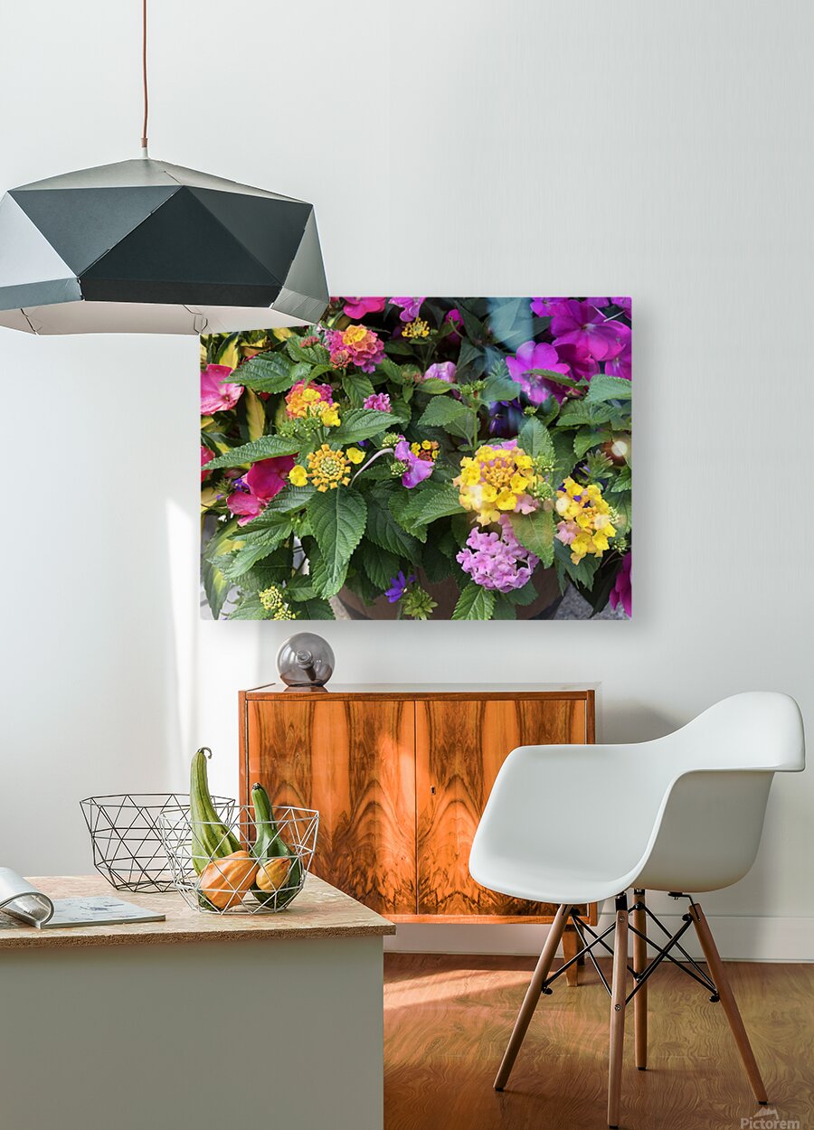 2498027 :: HD Sublimation Metal Print