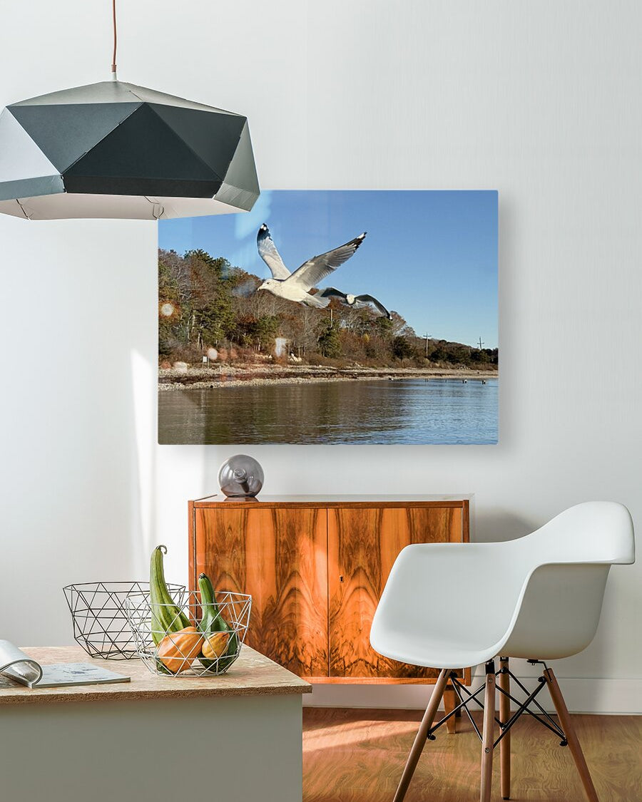 2498092 :: HD Sublimation Metal Print