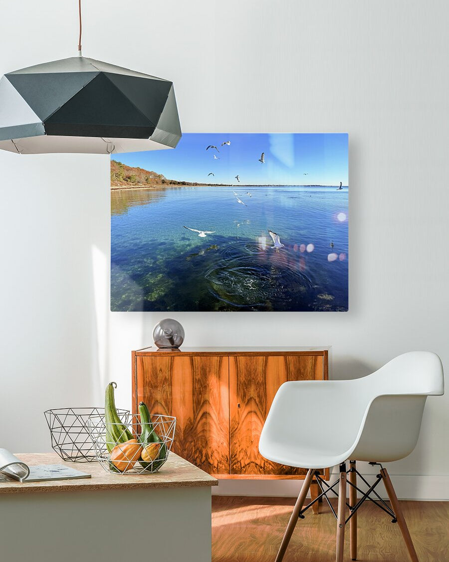 2498578 :: HD Sublimation Metal Print