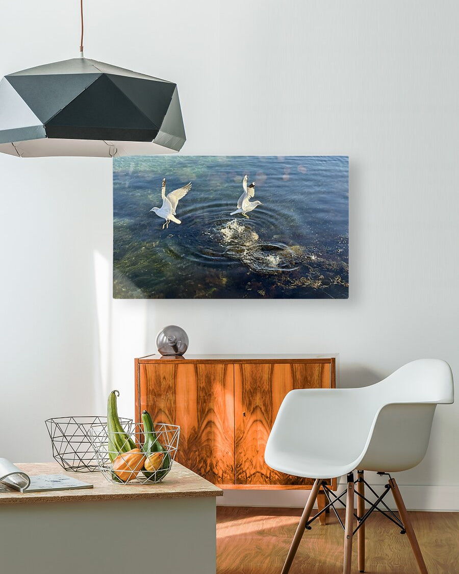 2498729 :: HD Sublimation Metal Print