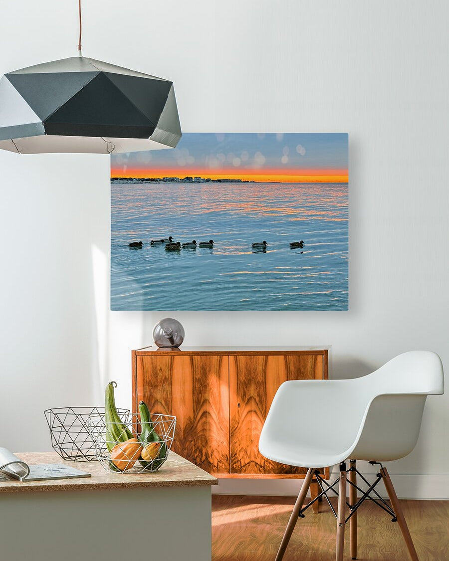 2511936 :: HD Sublimation Metal Print