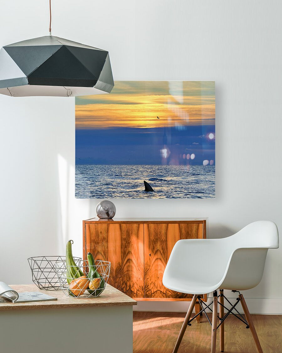 2516210 :: HD Sublimation Metal Print