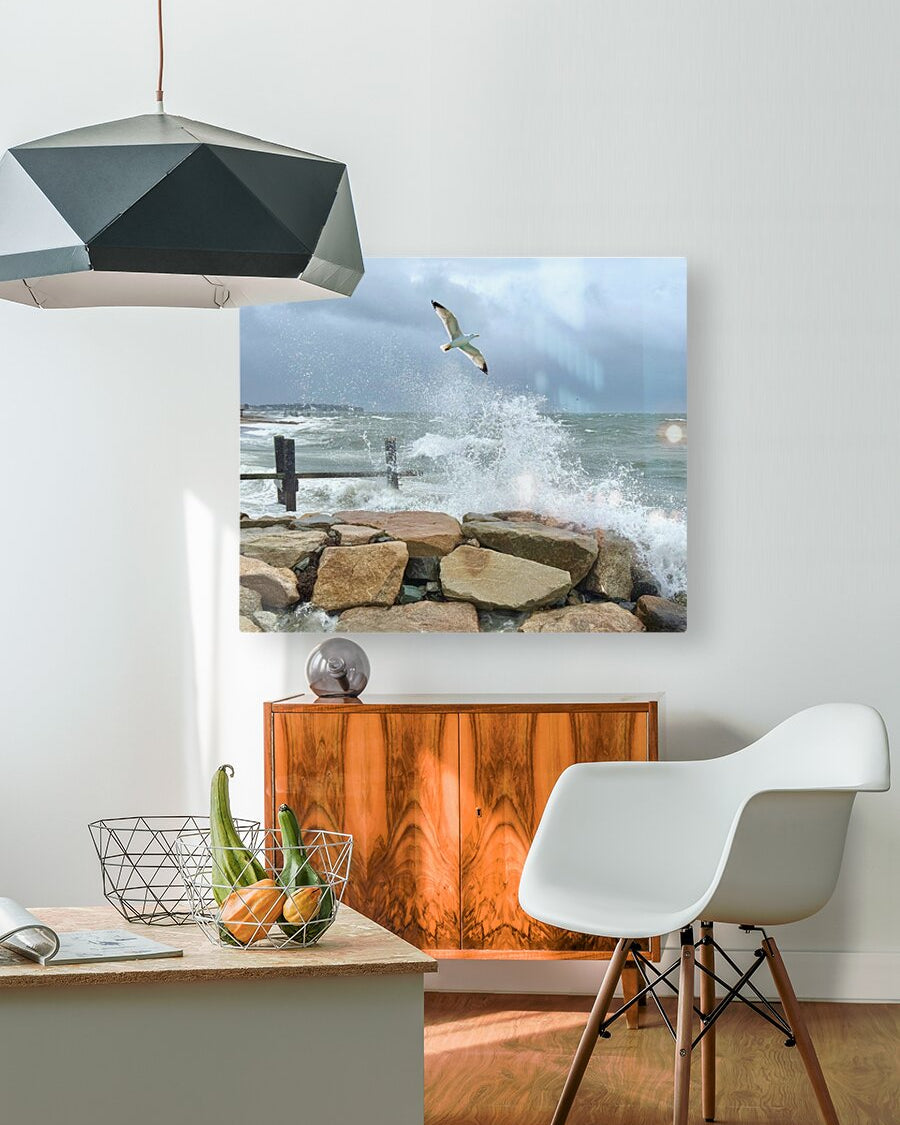 2516245 :: HD Sublimation Metal Print