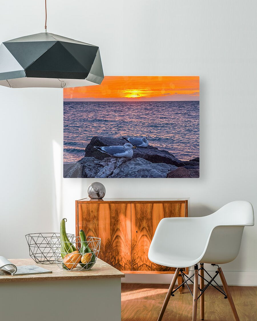 2519744 :: HD Sublimation Metal Print