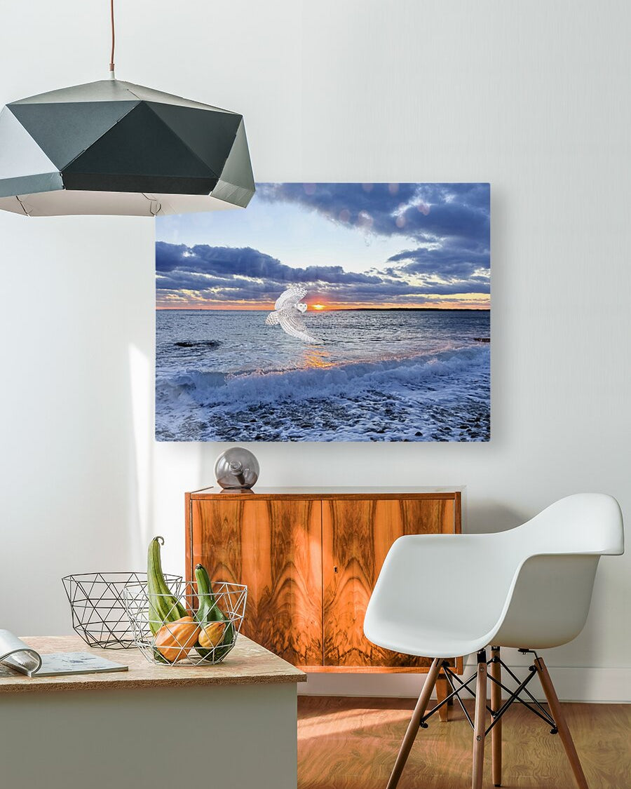 2521712 :: HD Sublimation Metal Print