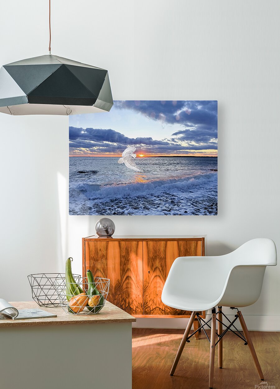 2521712 :: HD Sublimation Metal Print