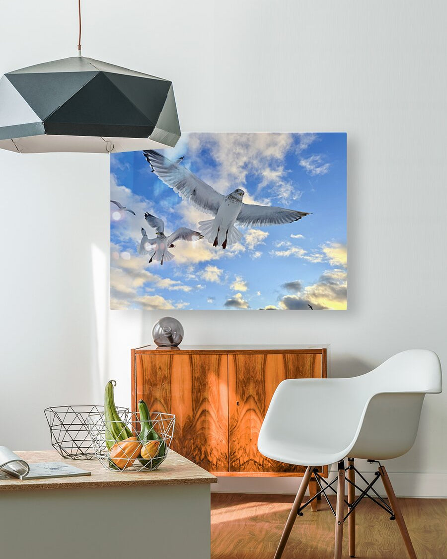 2521715 :: HD Sublimation Metal Print