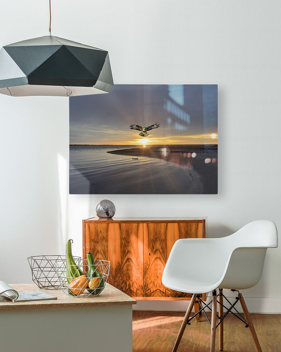 2521716 :: HD Sublimation Metal Print