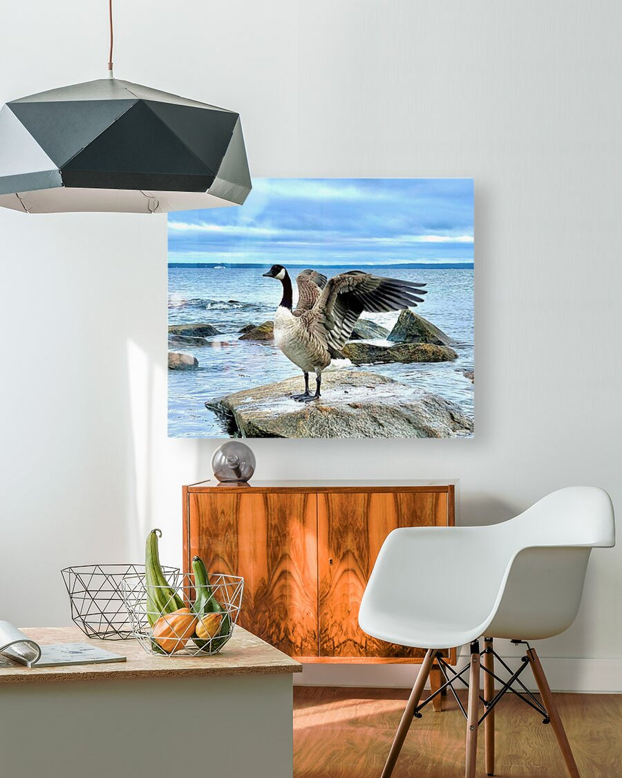 2530909 :: HD Sublimation Metal Print