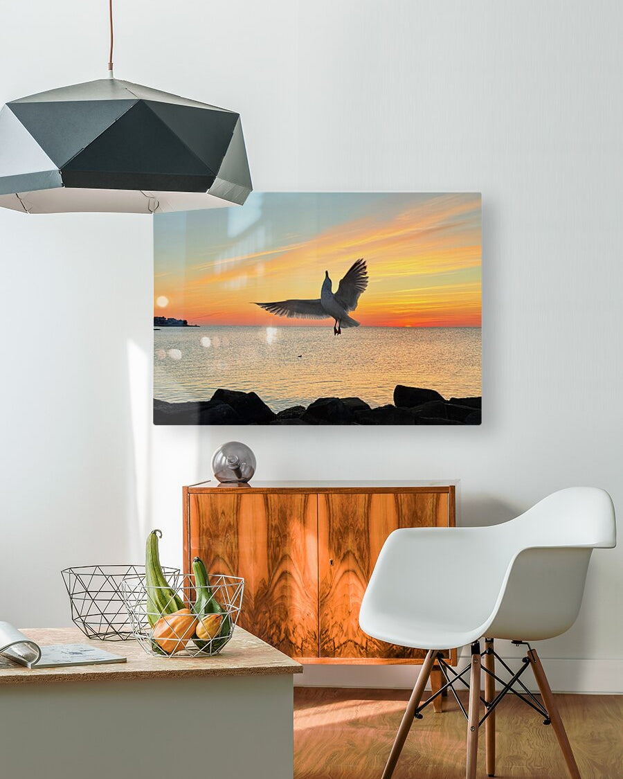 2552657 :: HD Sublimation Metal Print