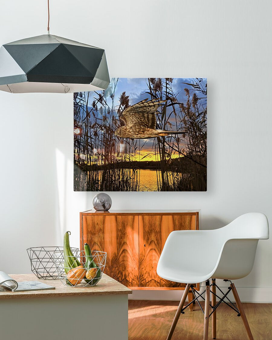 2555294 :: HD Sublimation Metal Print