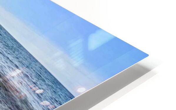 2374236 :: HD Sublimation Metal Print