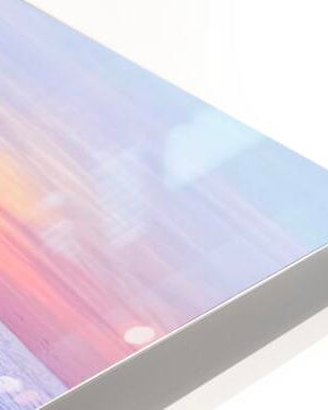 2487267 :: HD Sublimation Metal Print