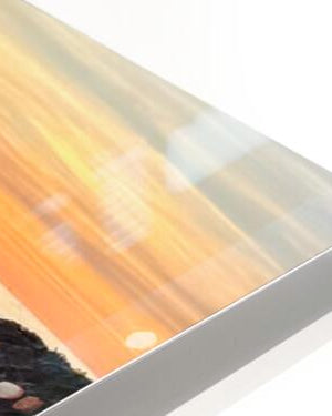 2487456 :: HD Sublimation Metal Print